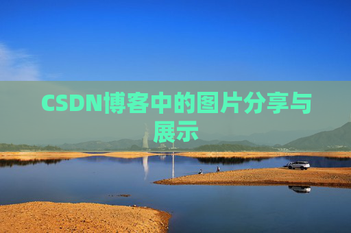 CSDN博客中的图片分享与展示
